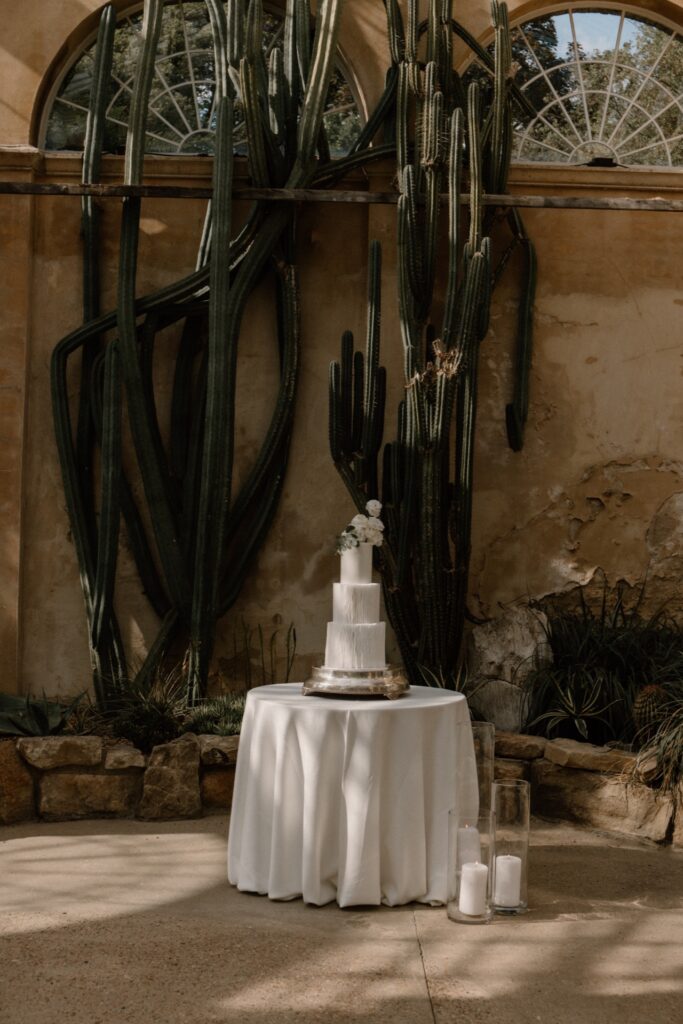 A white, three-tiered wedding cake placed on a white table in the cactus room of the Great Conservatory at Syon Park